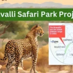 Aravalli Safari Park Project