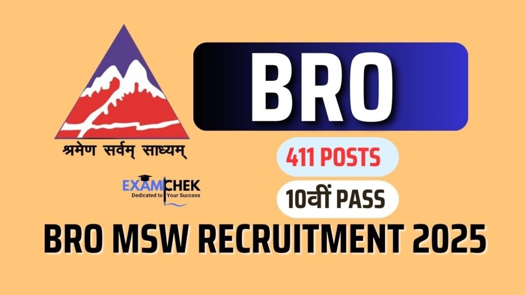 BRO MSW Recruitment 2025